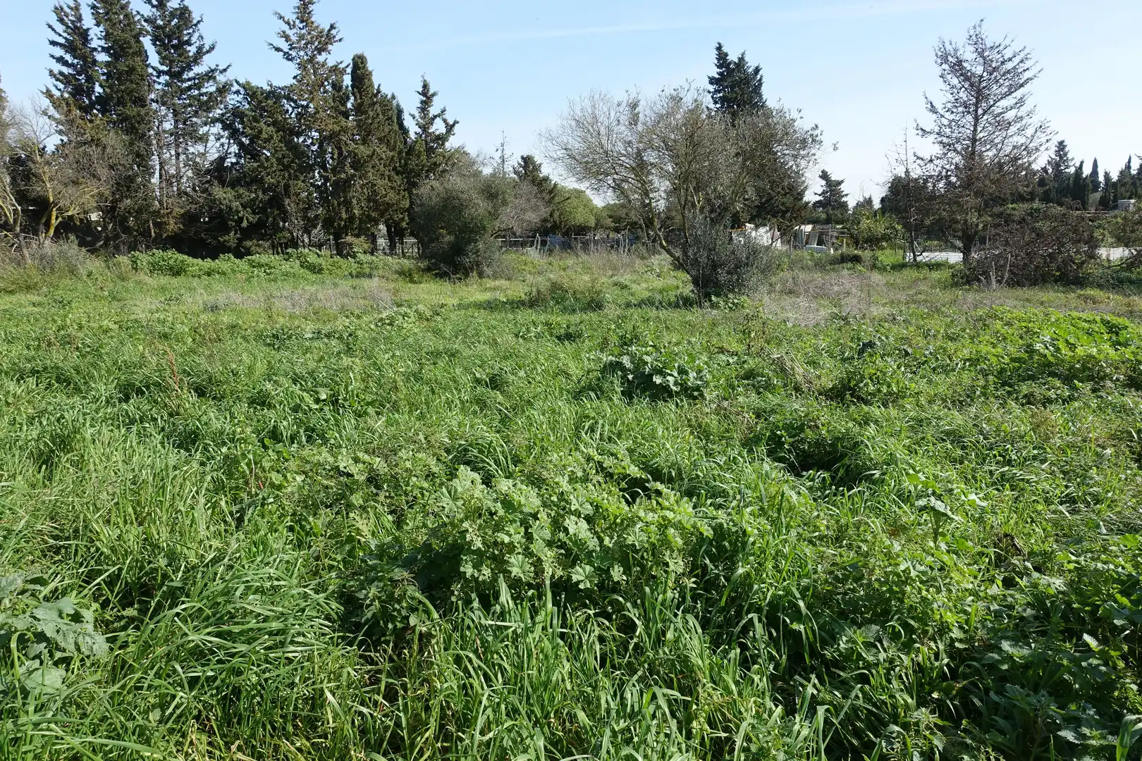 Wohnbaugrundstück zum Verkauf in El Juncal - Vallealto