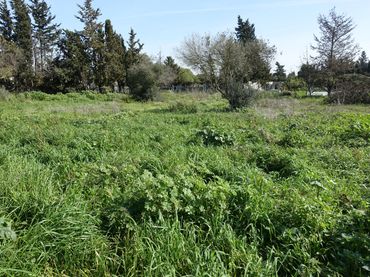 Residential land for sale in El Juncal - Vallealto