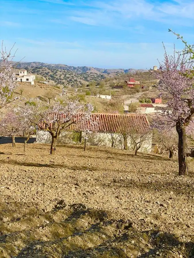 Casa rústica en venda a Vélez-Rubio, imagen 20