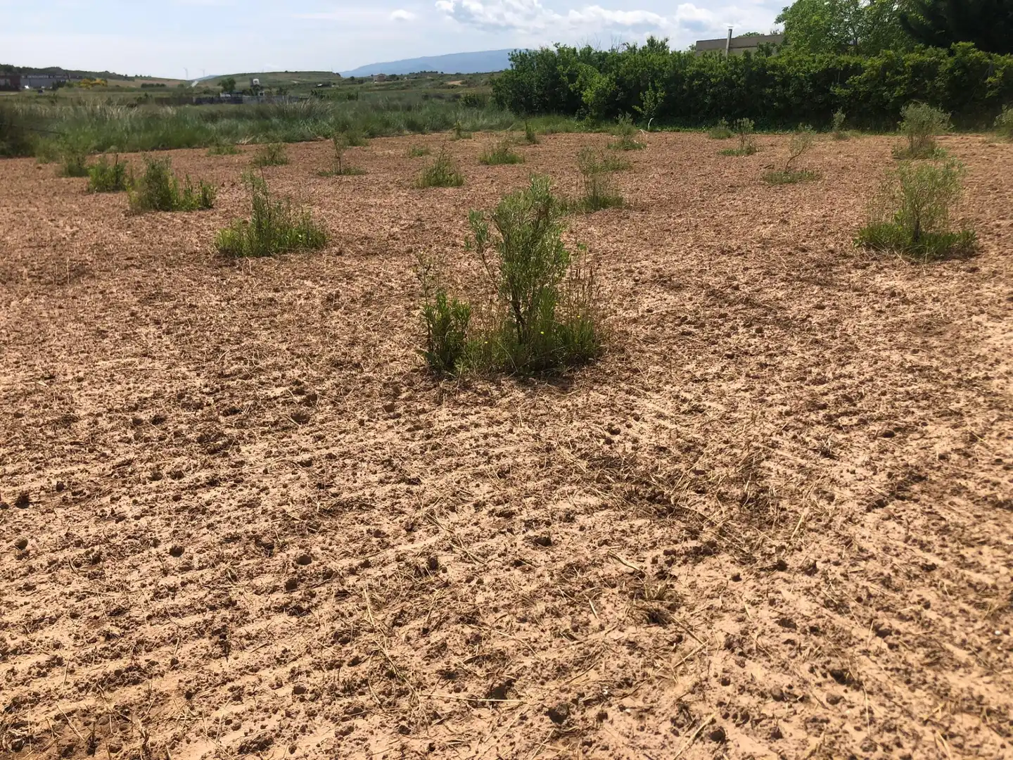 Terreny rústic en venda a Murillo de Río Leza, imagen 11