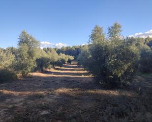 Grundstücke zum verkauf in Cervià de Les Garrigues