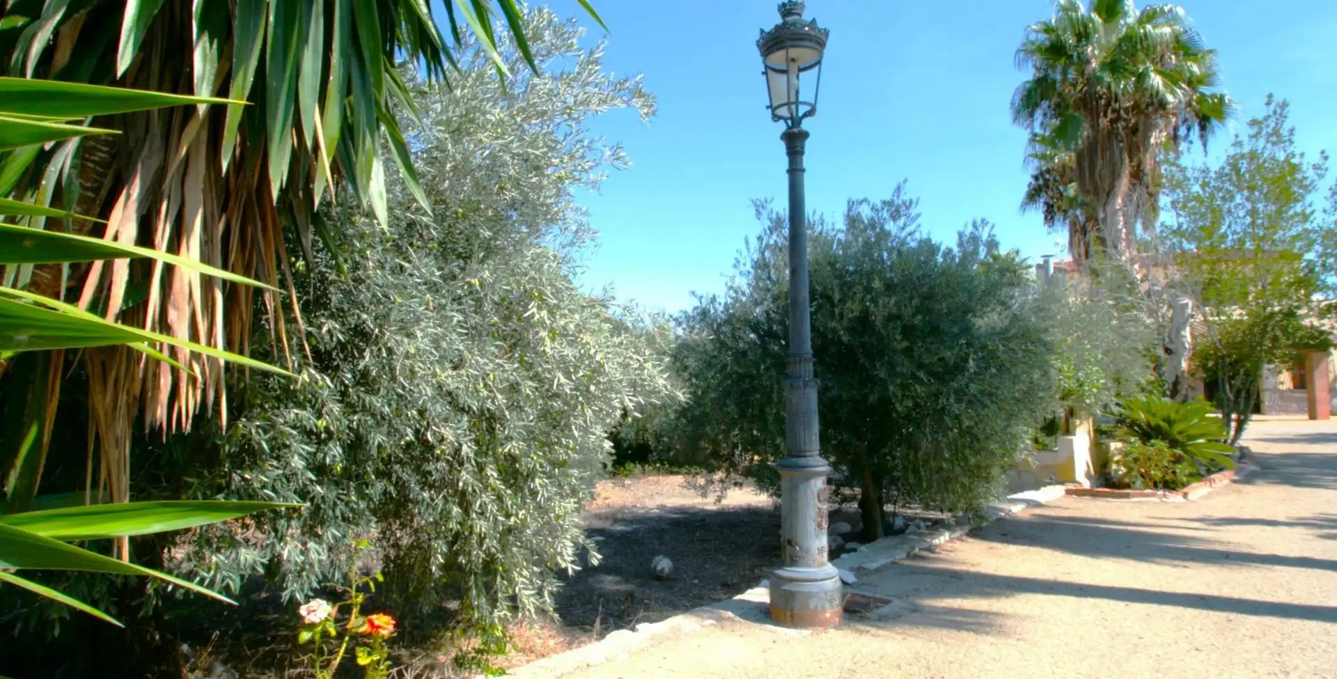 Jardín de Casa o chalet en venta en Cantoria con Jardín privado, Terraza y Piscina
