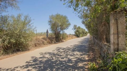 Foto 3 de Casa o chalet en venta en Carrer Jaume I, Santa María del Camí, Illes Balears