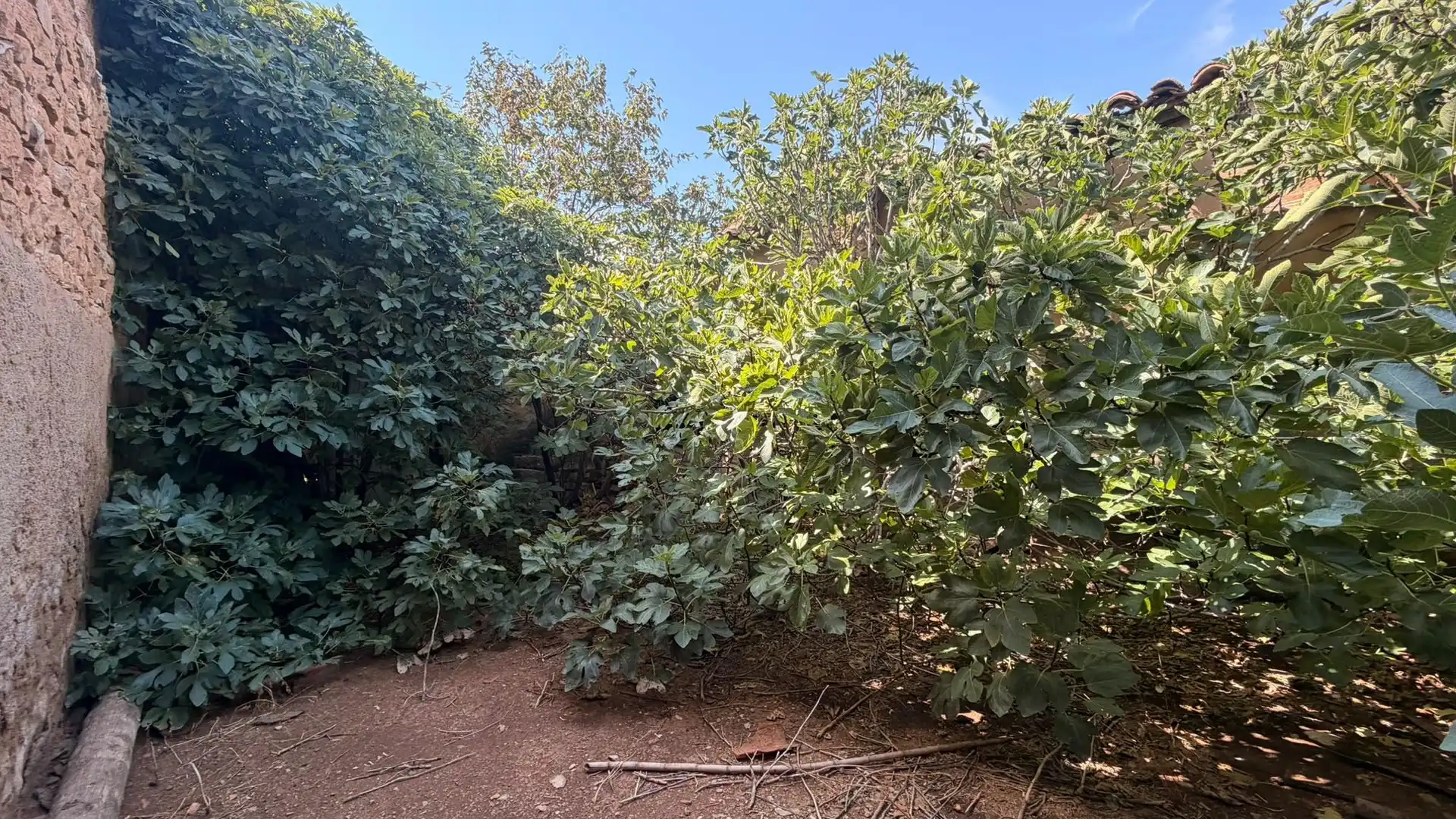 Terreno en venta en Ontiñena