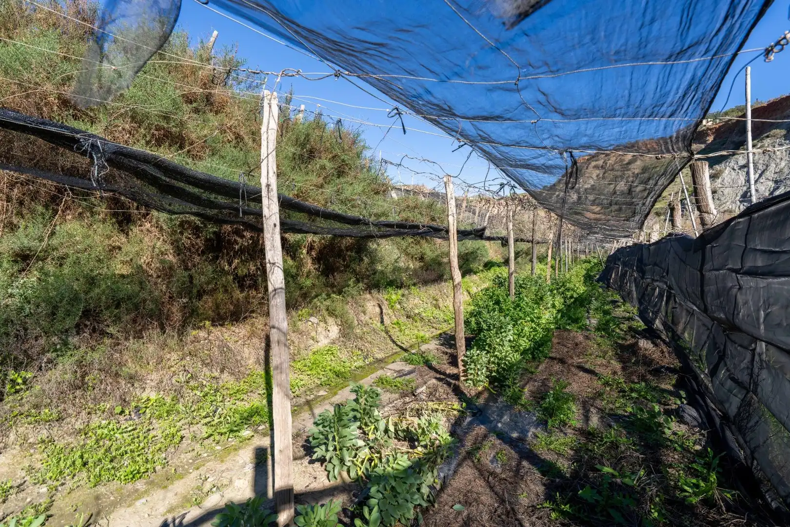 Casa rústica en venda a Canjáyar, imagen 48