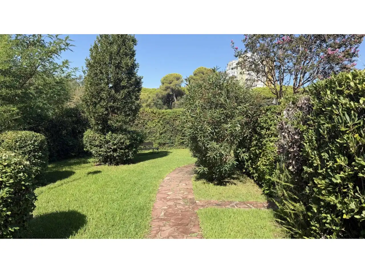 Apartment with terrace for sale in Avenida POLITUR, imagen 21