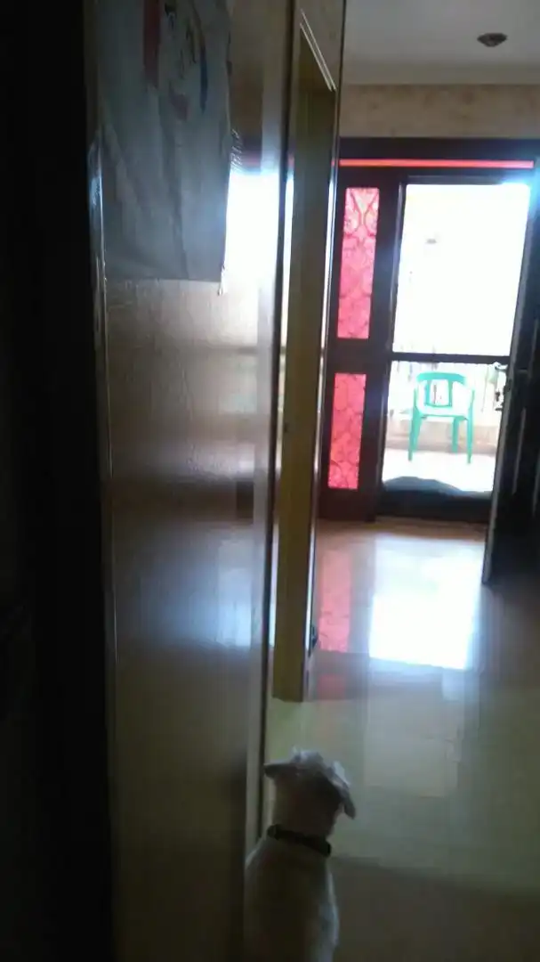 Finca rústica en venda a Calle Murcia, 24, Montepinar - La Aparecida - Raiguero