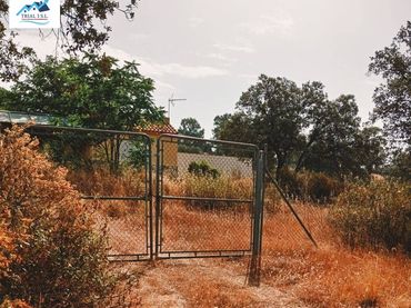 Terreny rústic en venda a Diseminado Mestanza