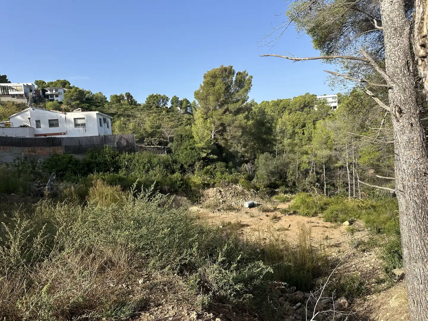 Terrenys i solars en venda a Mas Alba, imagen 6