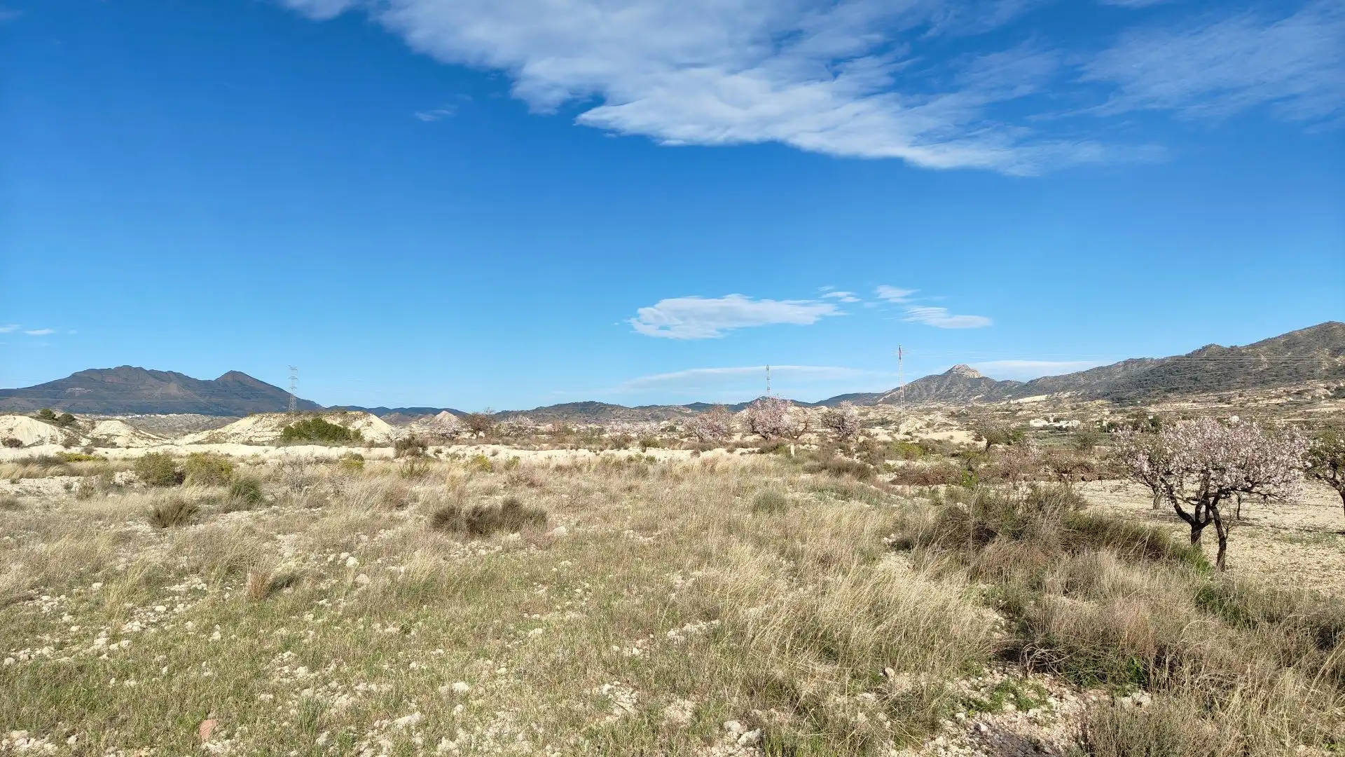Lands and plots for sale in Abanilla, imagen 7
