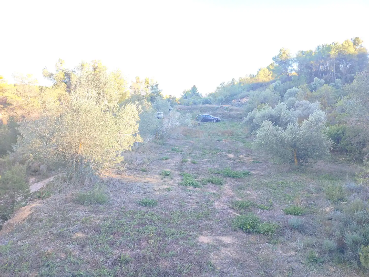 Terreno rústico en venta en L'Albagés, imagen 22
