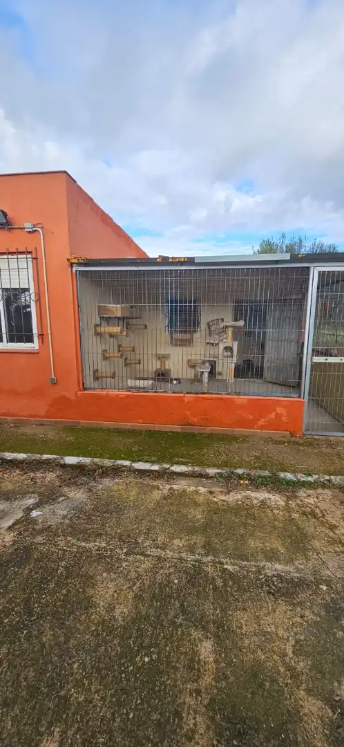 Vista exterior de Finca rústica en venta en Botarell con Jardín privado, Trastero y Amueblado