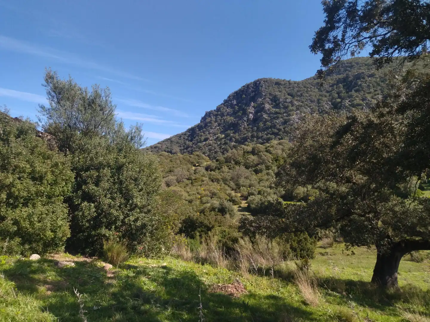 Terreno rustico in vendita a Ubrique, imagen 8
