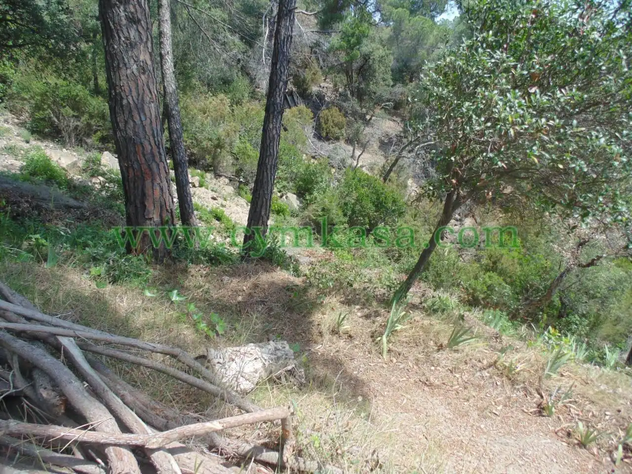 Rustikales Grundstück zum Verkauf in Serra Brava, imagen 2