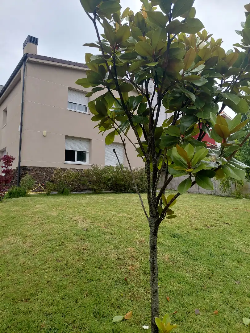 Jardín de Casa o chalet en venta en Oleiros con Calefacción, Jardín privado y Parquet