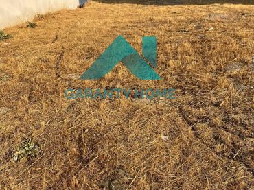Terrenos y solares en venta en Arroyo de la Luz
