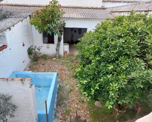 Garden of Single-family semi-detached for sale in Bujalance