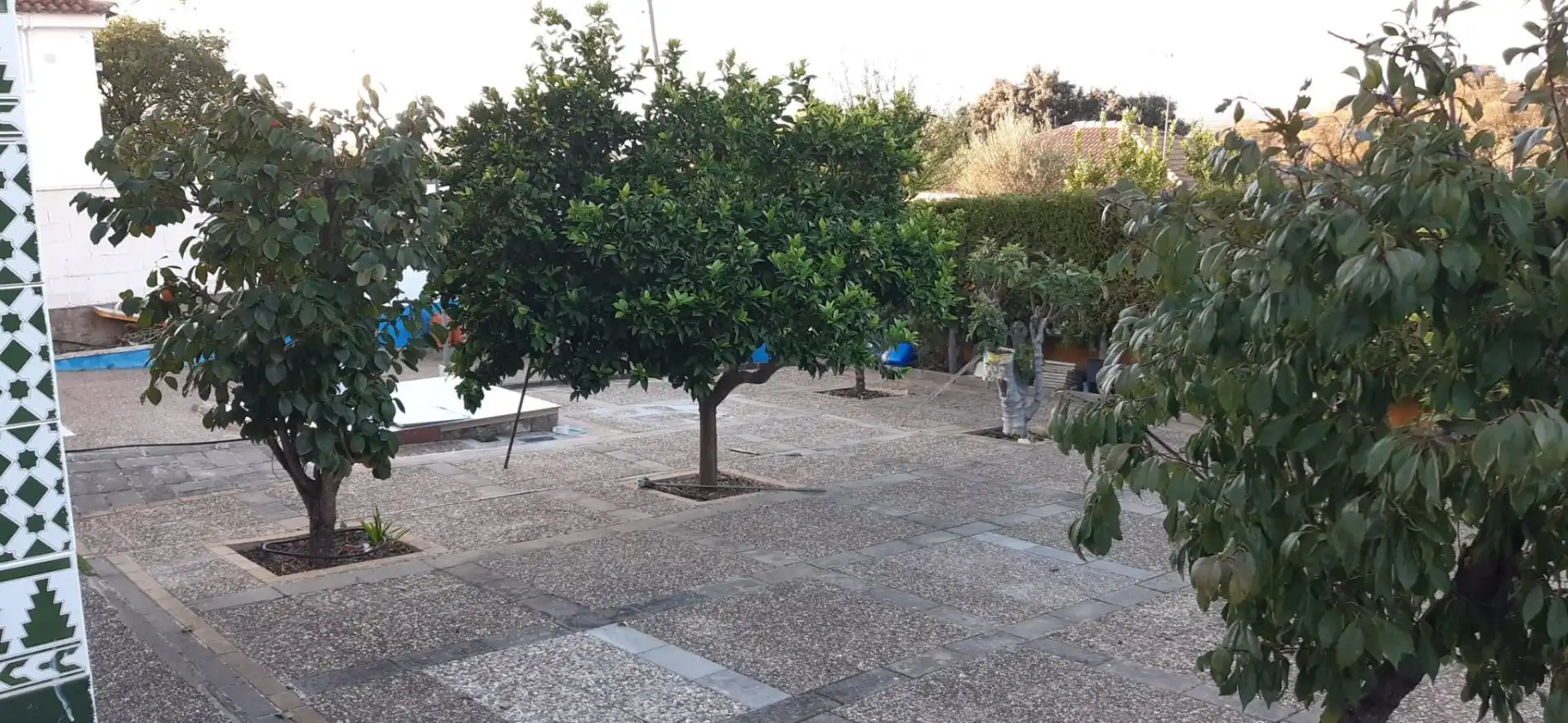 Haus mit Garten zum Verkauf in Castilblanco de los Arroyos, imagen 26
