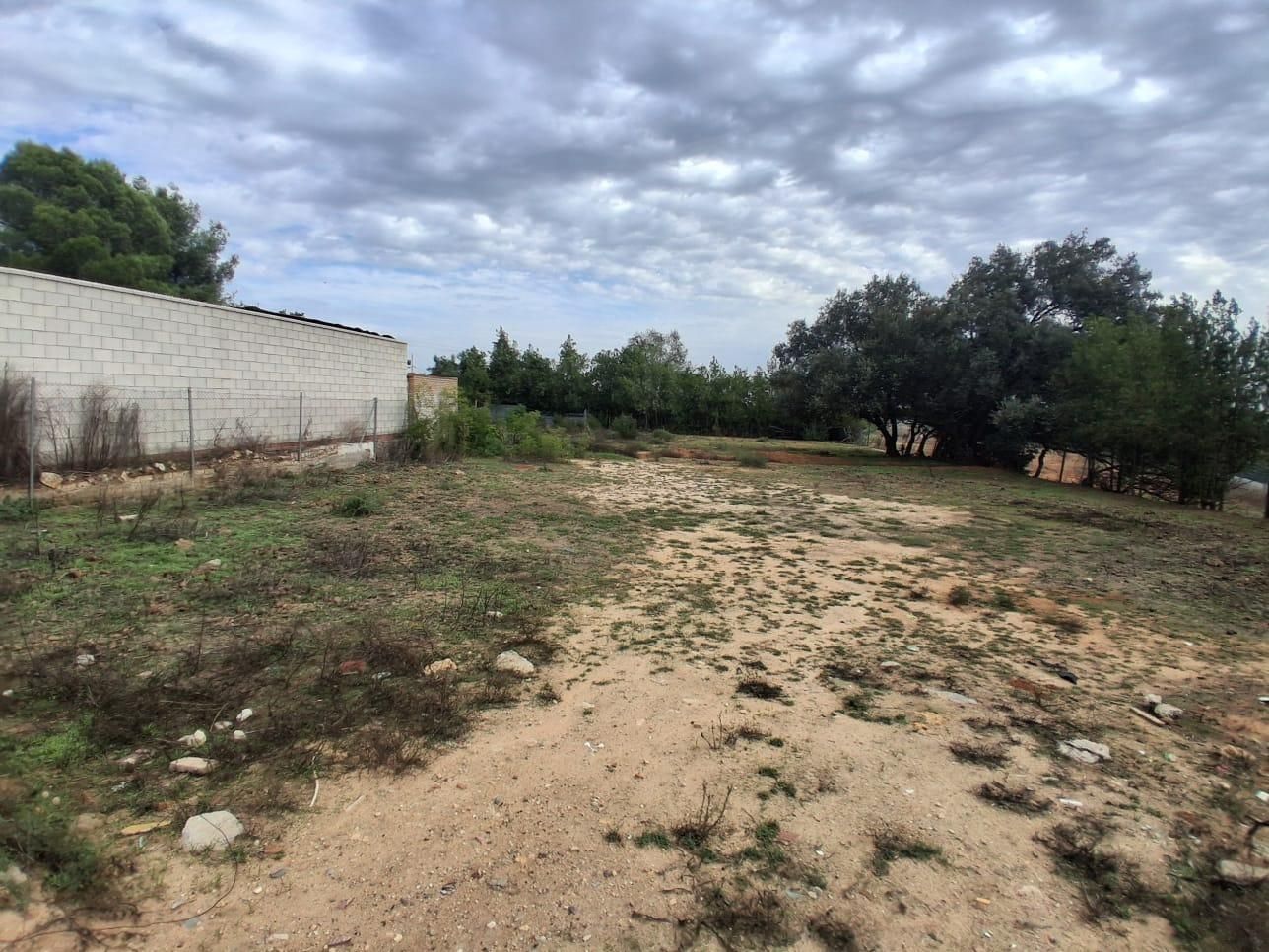 Residential for sale in Almensilla