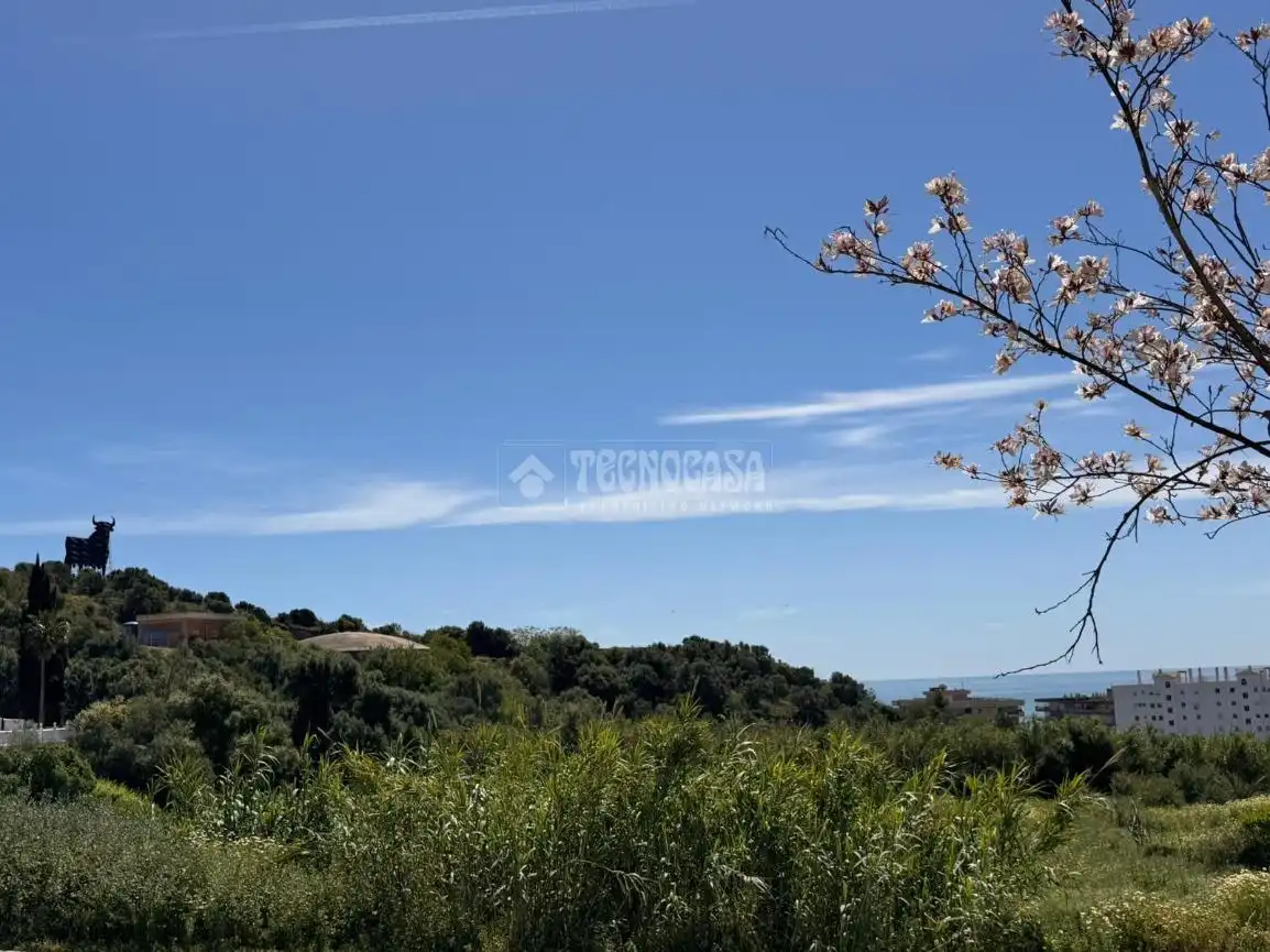 Maison à vendre à Los Pacos, imagen 24