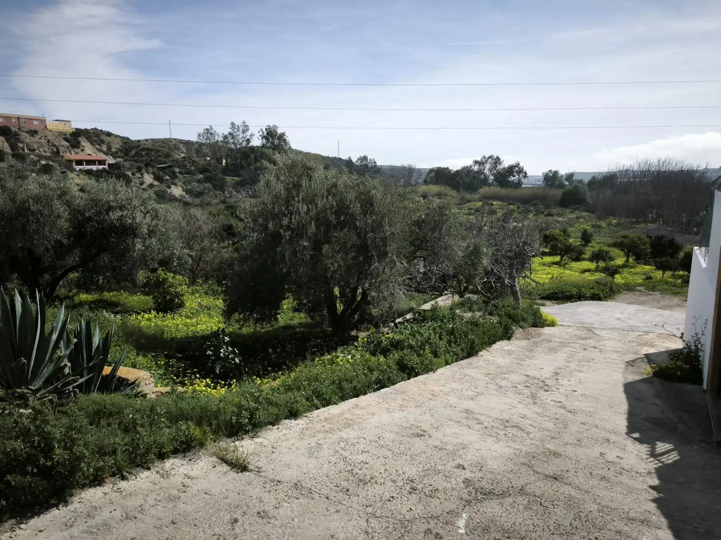 Lands and plots for sale in Gádor, imagen 11