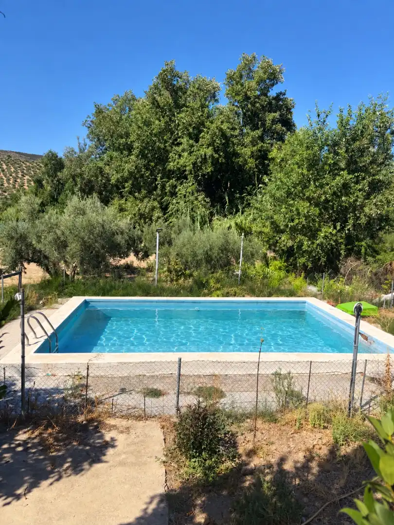 Detached house with pool for sale in Camino de las Huertas Grandes, imagen 27