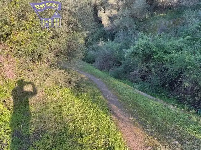 Terreny rústic en venda a Arcos de la Frontera, imagen 6