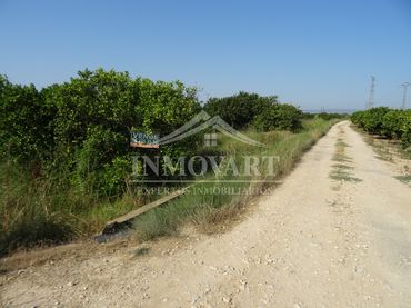 Terreno rustico in vendita a Algemesí