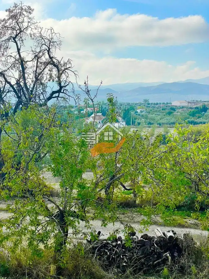 Country homes for sale in Vélez-Rubio