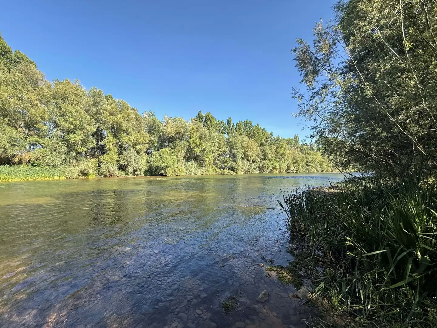Finca rústica en venta en Ardón con Terraza