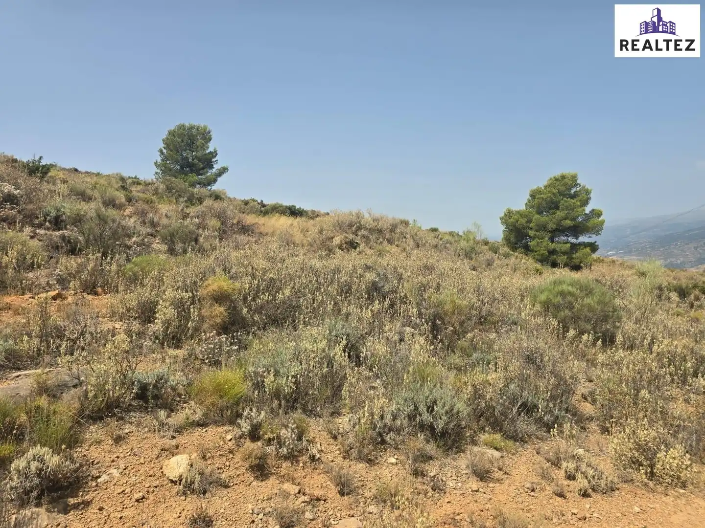 Terrain rustique à vendre à Alcolea, imagen 6