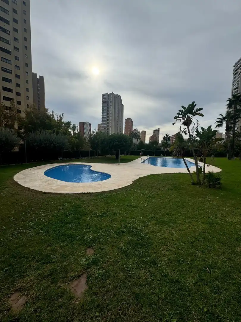 Swimming pool of Study for sale in Benidorm  with Community pool