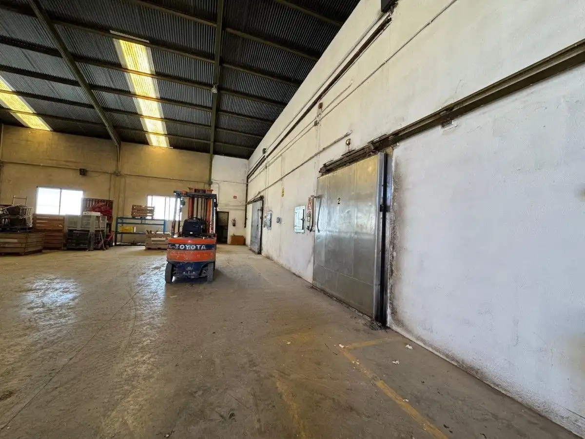 Nave industrial in vendita a La Llosa de Ranes, imagen 20