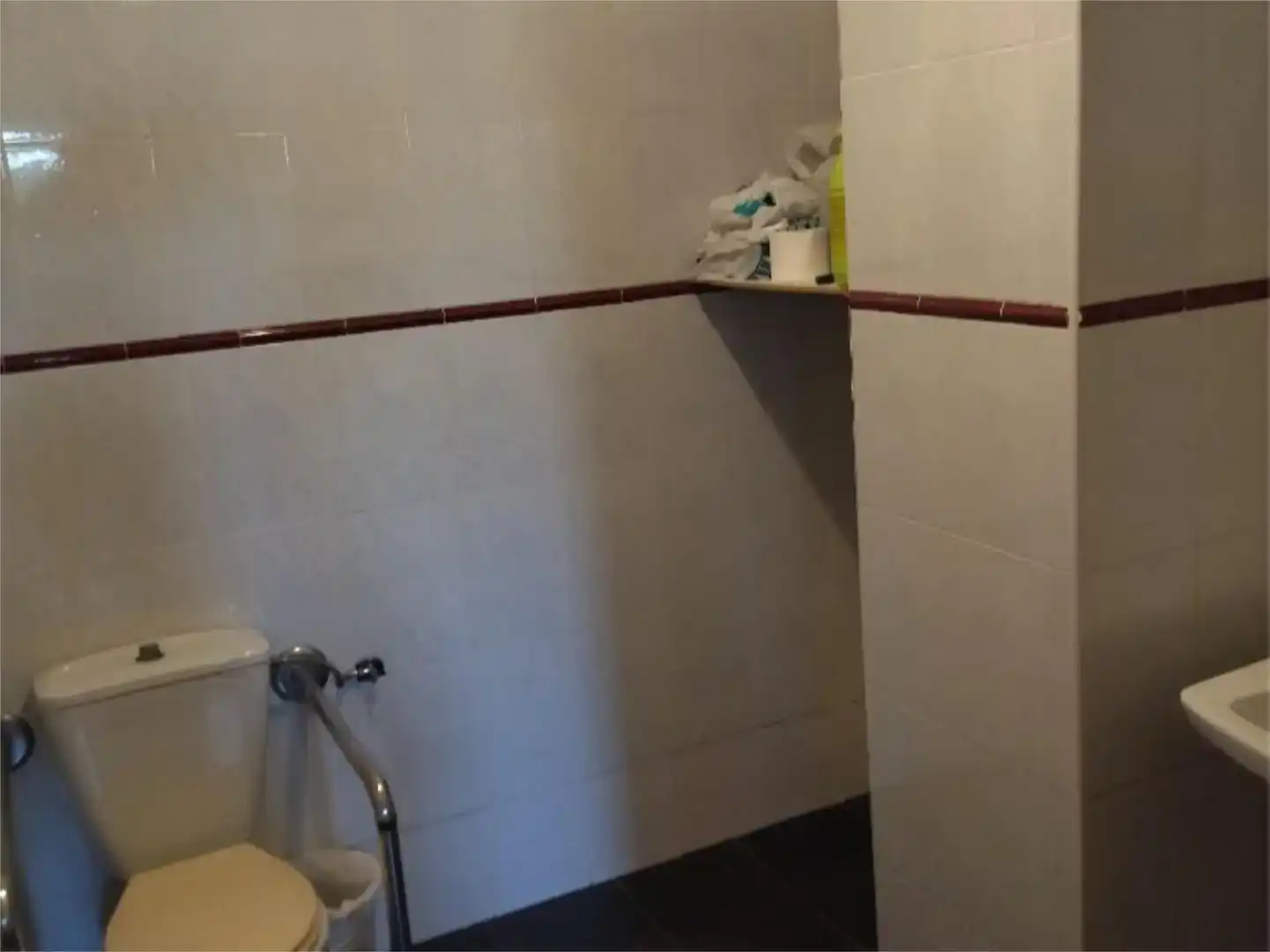Bany de Local de lloguer en Albuñol
