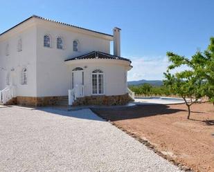 Vista exterior de Casa o xalet en venda en Aspe amb Aire condicionat, Jardí privat i Terrassa