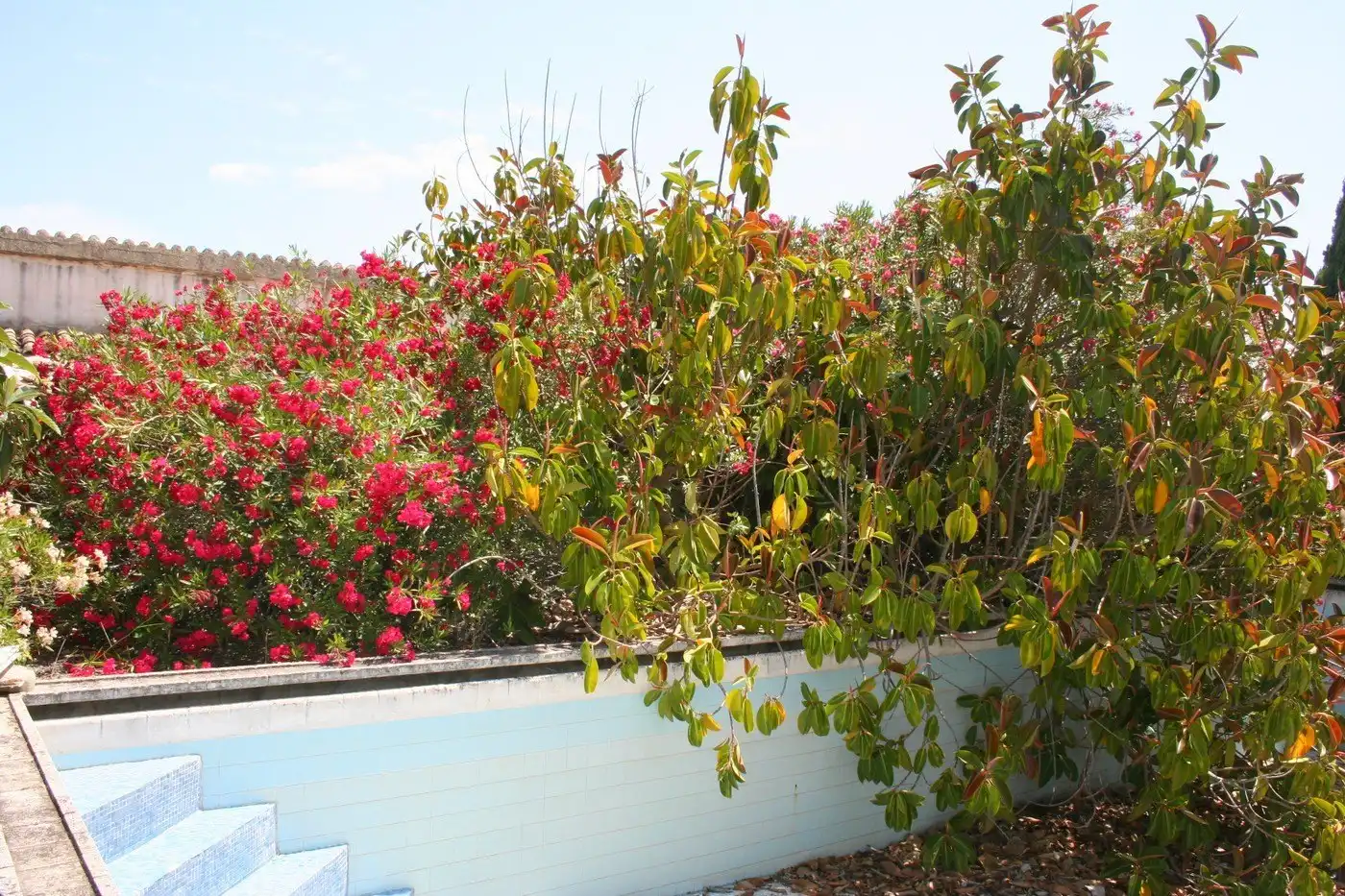 Maison rustique à vendre à Pedreguer, imagen 8