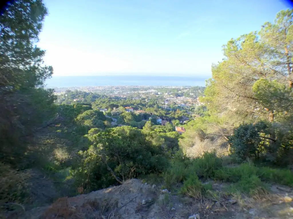 Vista exterior de Casa o chalet en venta en Premià de Dalt con Calefacción, Jardín privado y Parquet