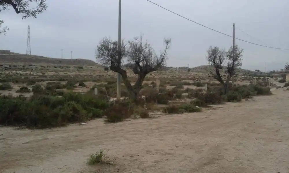 Country homes for sale in Calle LA SARDINA, Santa Faz
