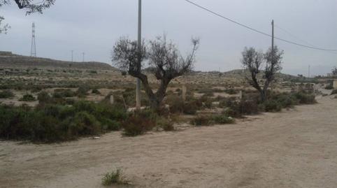 Foto 3 de Finca rústica en venda a Calle la Sardina, Santa Faz, Alicante