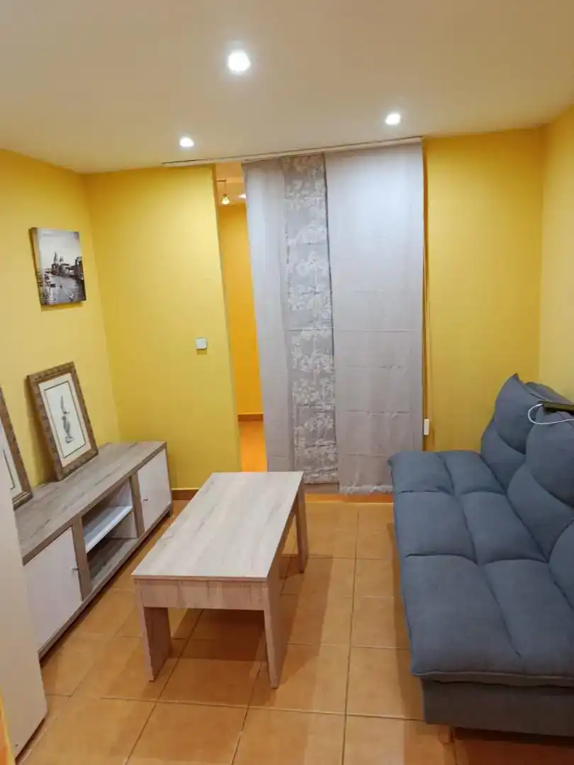 Wohnzimmer von Wohnungen zur Miete in  Madrid Capital