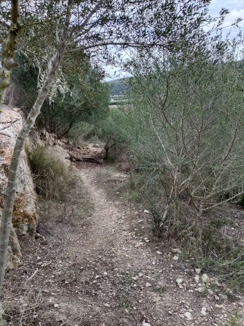 Rustikales Grundstück zum Verkauf in Diseminado Sector Num 3 192, imagen 3