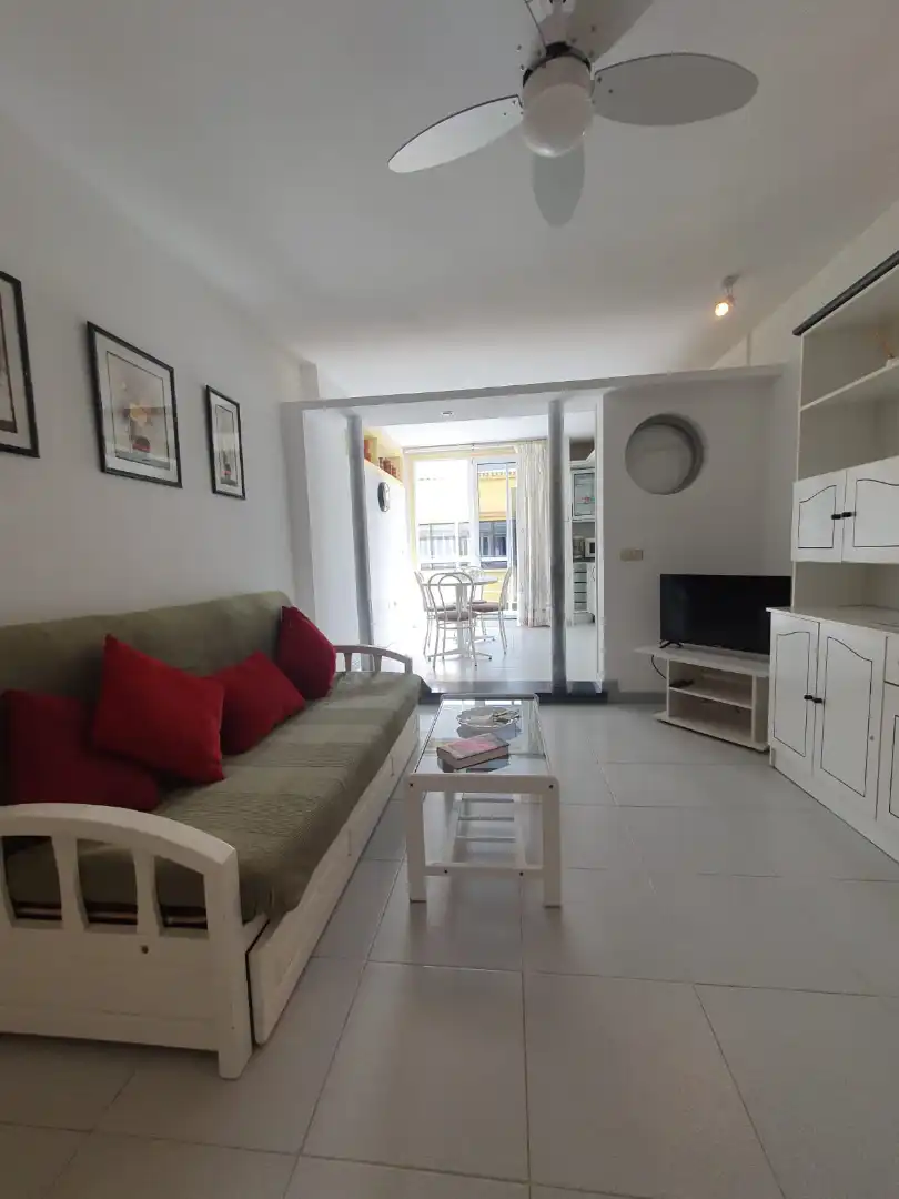 Living room of Apartments for rent in Granadilla de Abona  with Furnished, Oven and Microwave