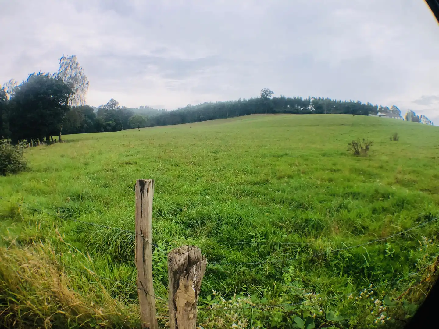 Grundstücke zum Verkauf in Piélagos