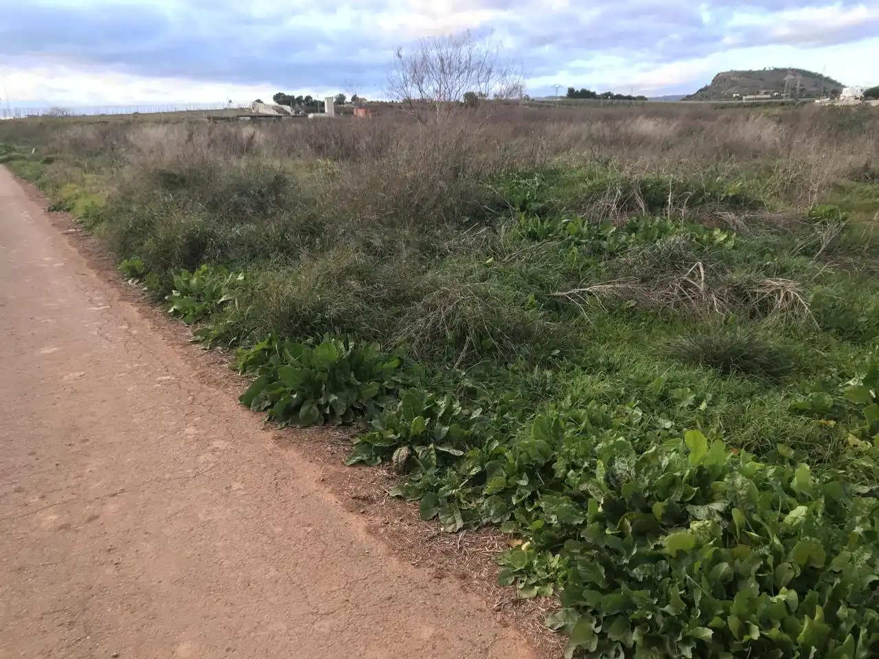 Lands and plots for sale in Corralet - Bonanza - Tres Rutas, imagen 4