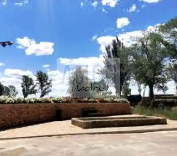Jardín de Casa o chalet en venta en Cózar