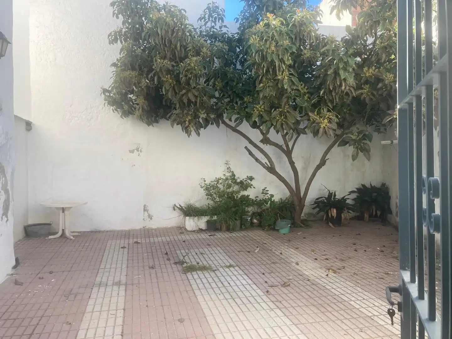 Casa rústica en venta en Estepona Pueblo, imagen 20