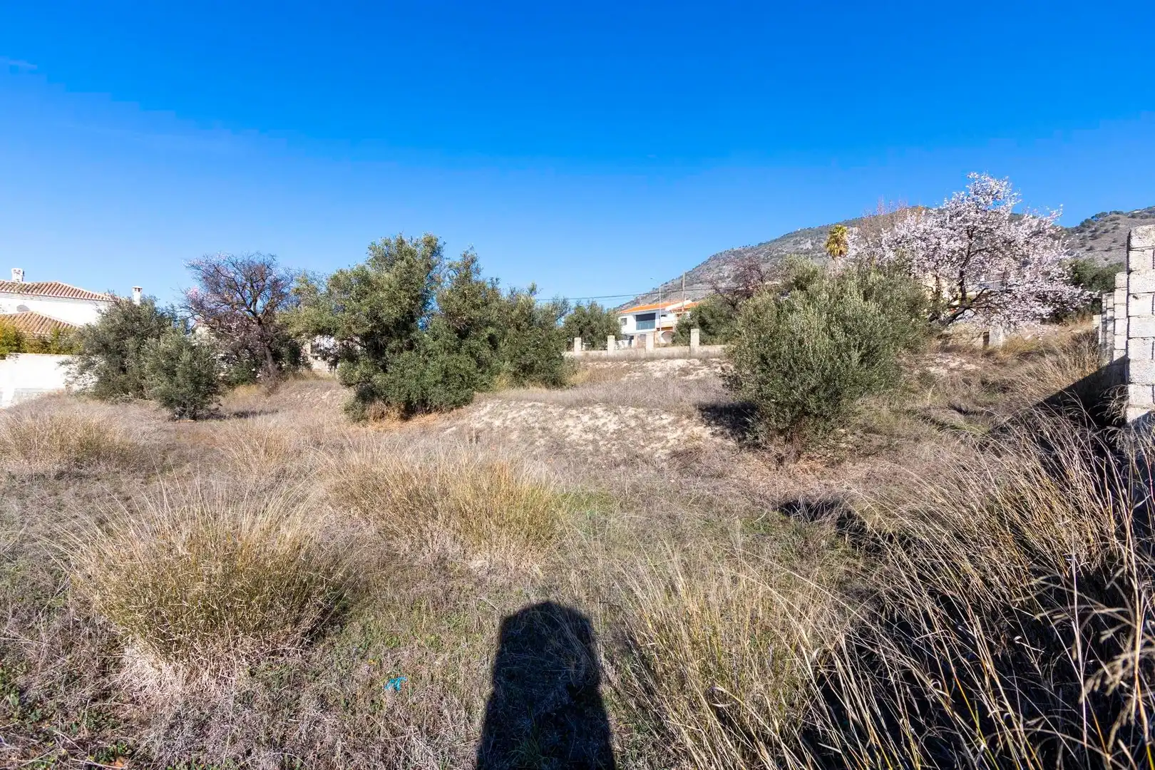 Residential land for sale in Avenida de Andalucía 201, imagen 4
