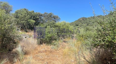 FINCA MIXTA DE UNAS 50 HECTÁREAS EN LA ZONA DE ALCUESCAR