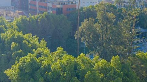 Photo 5 of Apartments for sale in Avenida España, Orihuela ciudad, Orihuela