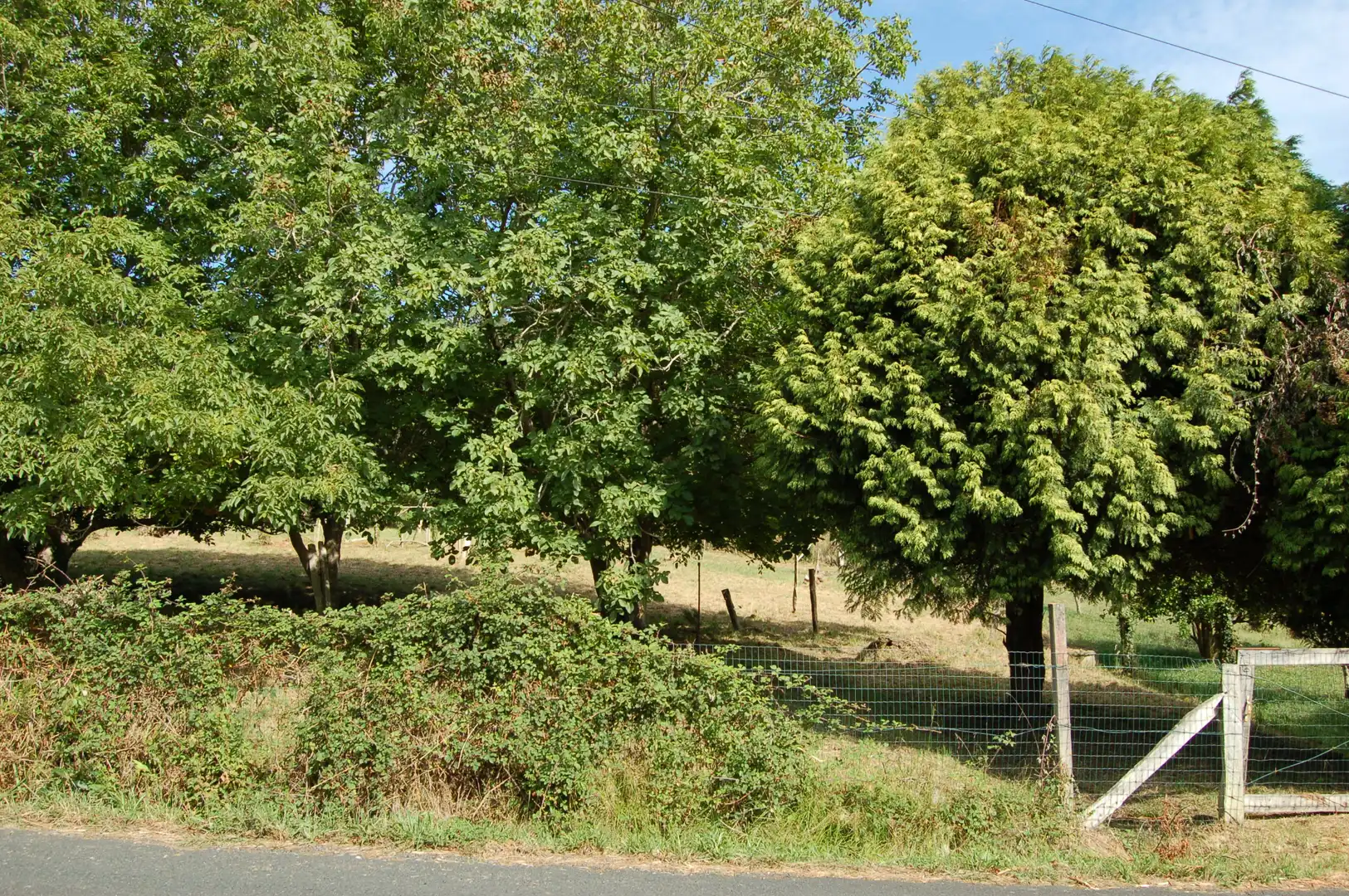 Terreny residencial en venda a Cedeira